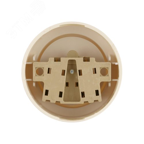 Розетка 2П открытой установки IP20 10А сл. кость Ретро TDM