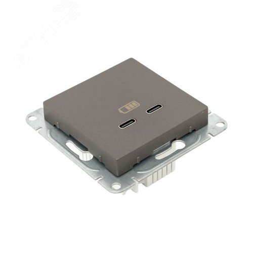 Механизм розетки USB-C - 2шт мокко Эпика EKF