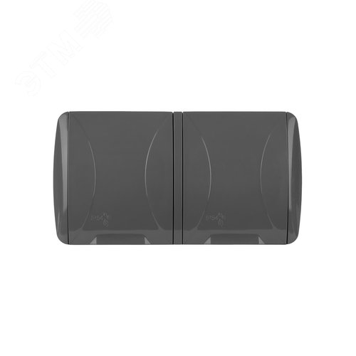 Розетка двойная 2П+3 открытой установки IP54 16А с крышкой серая Селигер TDM