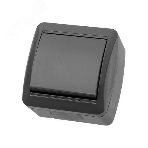 Выключатель 1-кл. открытой установки IP44 10А серый Селигер TDM