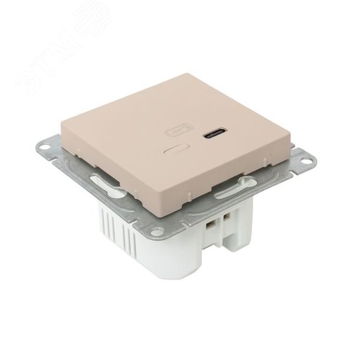 Механизм розетки USB-С быстрая кремовый Эпика EKF