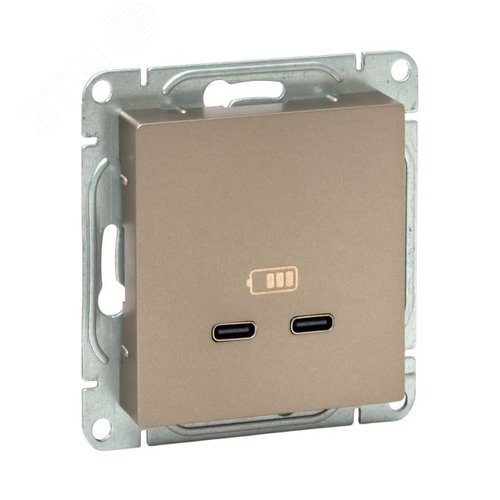 Механизм розетки USB-C - 2шт шампань Эпика EKF