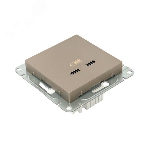 Механизм розетки USB-C - 2шт шампань Эпика EKF