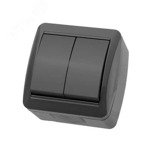 Выключатель 2-кл. открытой установки IP44 10А серый Селигер TDM