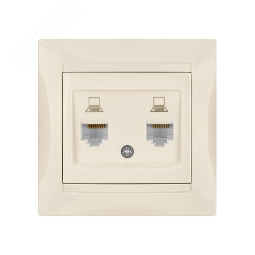 Розетка компьютерная двойная RJ45 сл. кость Лама