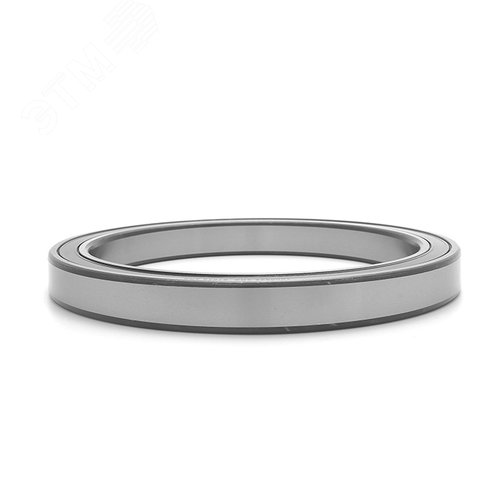 Подшипник 1000828 2RS FBC (ГОСТ)