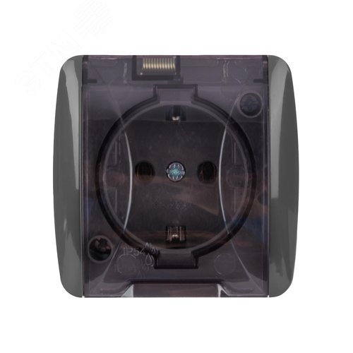 Розетка 2П+3 открытой установки IP54 16А с прозрачной крышкой серая Селигер TDM