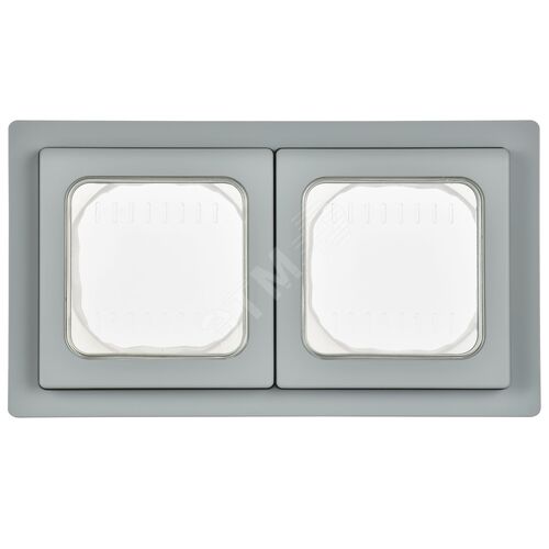 FLITE Рамка 2-местная IP55 Рпро-2-55-ФлС серый