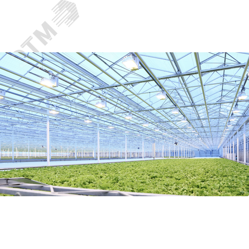 Светильник светодиодный промышленный AGRIS 530 Вт FS 140градx120град 380 В