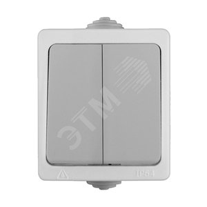 Выключатель Аллегро 2 клавиши IP54 серый