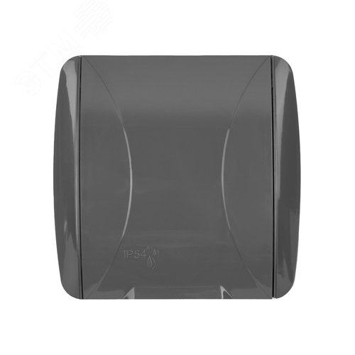 Розетка 2П+3 открытой установки IP54 16А с крышк йсерая Селигер TDM