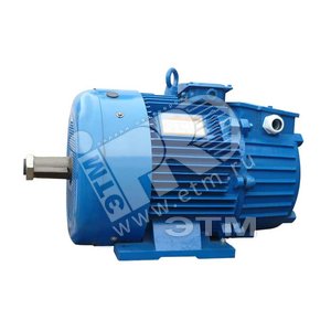Электродвигатель 5MTH 225 М8 30/723 IM 1003