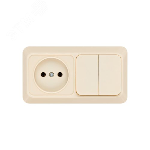 Блок комбинированный выкл. 2-кл. 10А + розетка 2П 10А 250В БКВР IP20 сл. кость Ладога