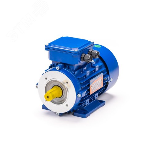 Электродвигатель 5АИ 80 В8 FT100 0,55/750 IM2181