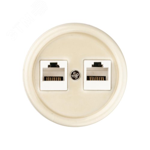 Розетка двойная компьютерная RJ45 сл. кость Болонь TDM