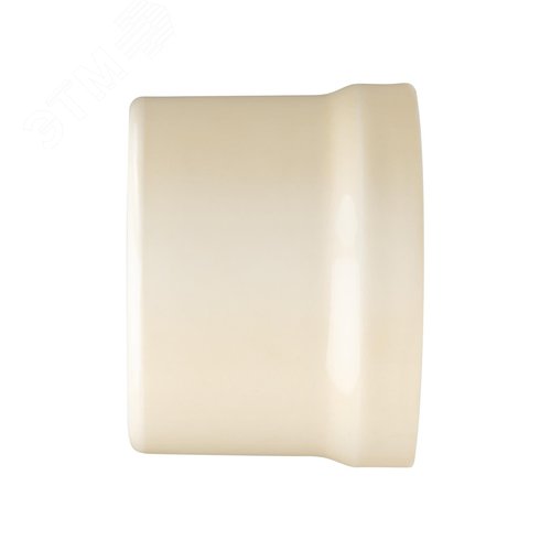 Розетка двойная компьютерная RJ45 сл. кость Болонь TDM