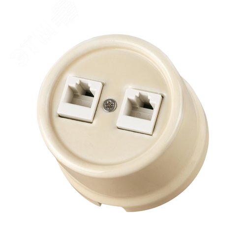 Розетка двойная компьютерная RJ45 сл. кость Болонь TDM