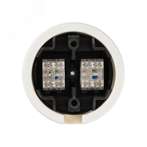 Розетка двойная компьютерная RJ45 сл. кость Болонь TDM