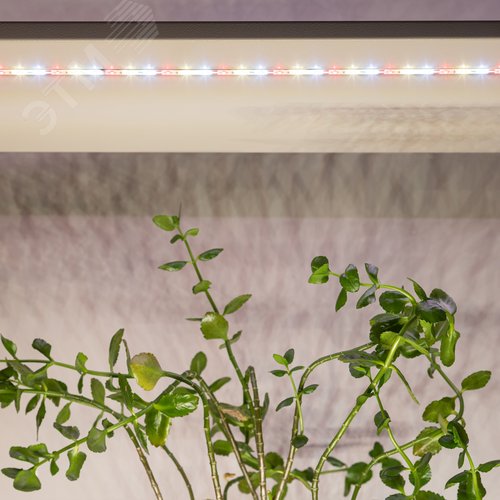 Лента светодиодная для растений полного спектра 5м IP65 с адаптером 12В FITO-Strip Light-Rа90-300LED-5m-12V-IP65