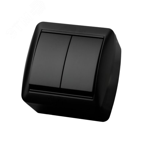 Выключатель 2-кл. открытой установки IP44 10А графит Селигер TDM