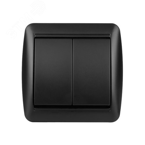 Выключатель 2-кл. открытой установки IP44 10А графит Селигер TDM