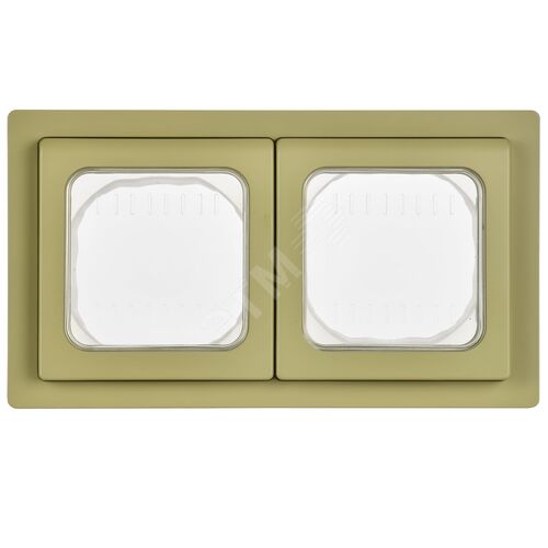 FLITE Рамка 2-местная IP55 Рпро-2-55-ФлО оливковый