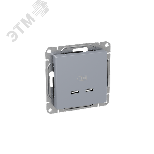 Эпика Механизм розетки USB-C - 2шт алюминий EKF