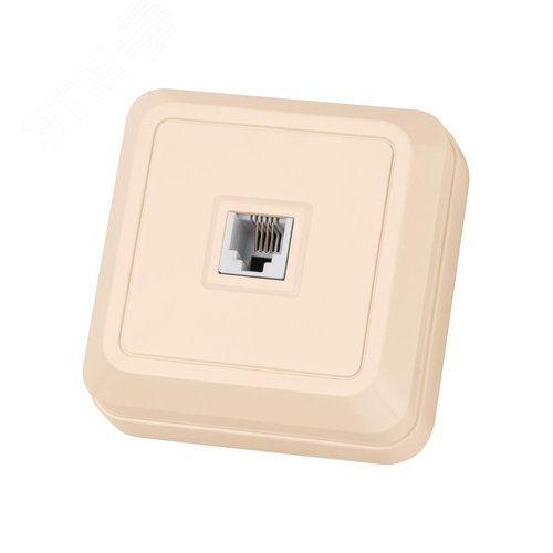 Розетка TФ (RJ-11) открытой установки IP20, сл. кость Ладога