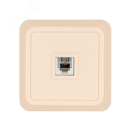 Розетка TФ (RJ-11) открытой установки IP20, сл. кость Ладога