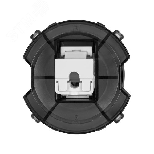 Розетка компьютерная RJ45 агат Байкал TDM