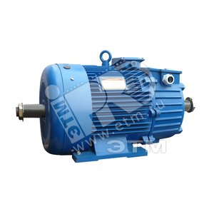 Электродвигатель 5MTH 711-10 110/600 IM 1004