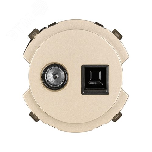 Розетка компьютерная RJ45 + TV розетка оконечная шампань Байкал TDM