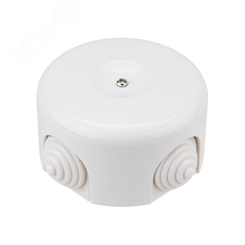 Коробка распаячная фарфоровая D78х45см белая TDM