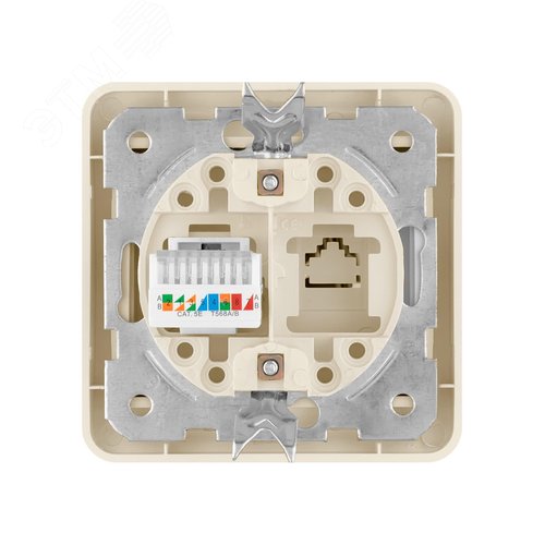 Розетка компьютерная RJ-45 сл. кость Валдай TDM