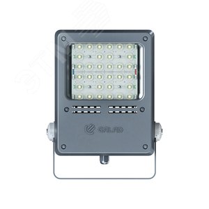 Прожектор светодиодный ДО-50 Звезда LED-50-Д120-IP67-У11/LIRA/740/RAL7040/TG/AC230/D/X/G2