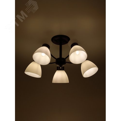 Люстра 9185-305 5хЕ27 60 Вт модерн Rivoli Aemilia