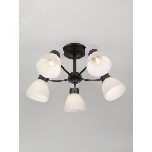 Люстра 9185-305 5хЕ27 60 Вт модерн Rivoli Aemilia