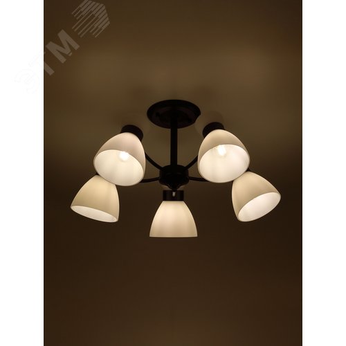 Люстра 9185-305 5хЕ27 60 Вт модерн Rivoli Aemilia