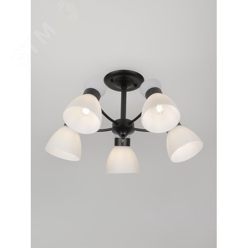 Люстра 9185-305 5хЕ27 60 Вт модерн Rivoli Aemilia