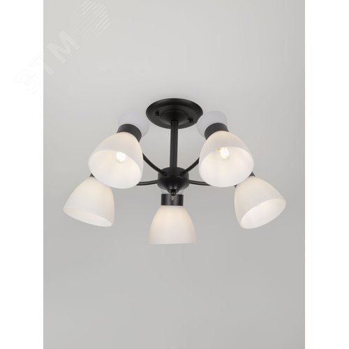 Люстра 9185-305 5хЕ27 60 Вт модерн Rivoli Aemilia