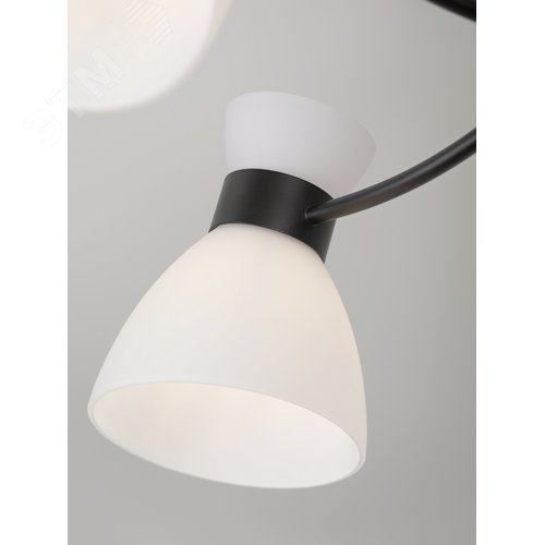 Люстра 9185-305 5хЕ27 60 Вт модерн Rivoli Aemilia
