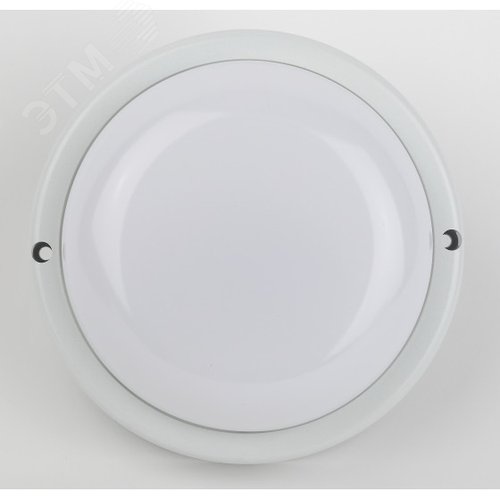 Светильник светодиодный ДБП-24W 2160Лм 4000К IP65 D185 круг SPB-201-0-40K-024Вт