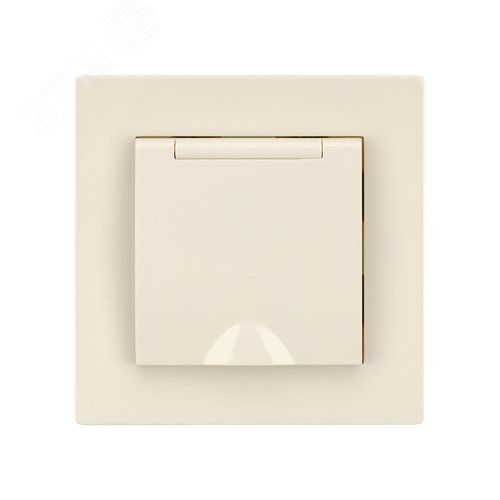 Розетка 2П+З 16А 250В IP44 с крышкой сл. кость Сенеж