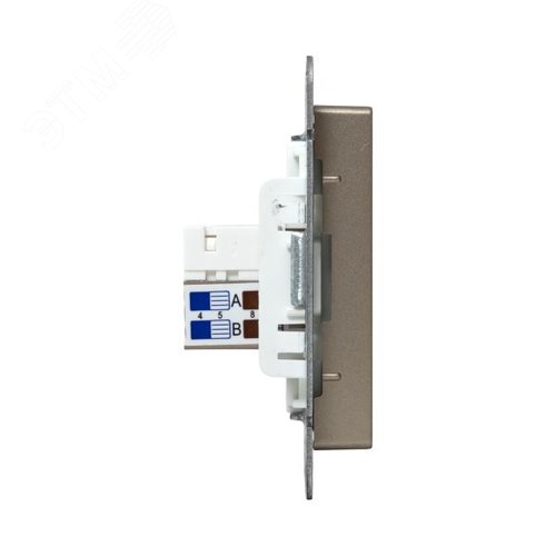 Механизм розетки RJ45 - 2шт (cat5) шампань Эпика EKF