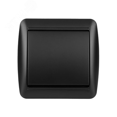 Выключатель 1-кл. открытой установки IP44 10А графит Селигер TDM