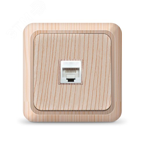 Розетка компьютерная одноместная Олимп,наружная, 1А, RJ45, сосна (еврослот)