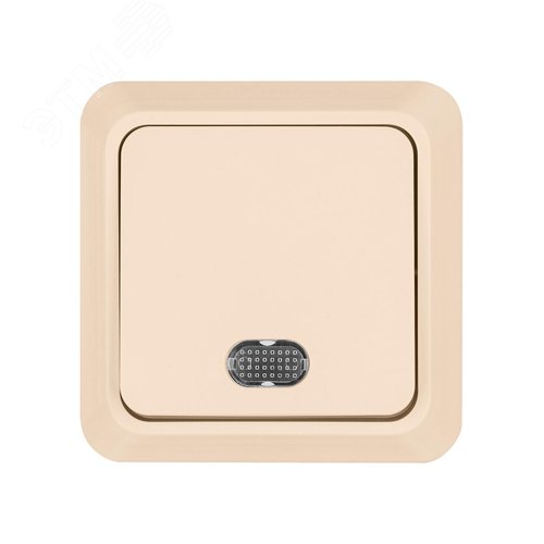 Выключатель 1-кл. открытой установки с подсветкой IP20 10А, сл. кость Ладога
