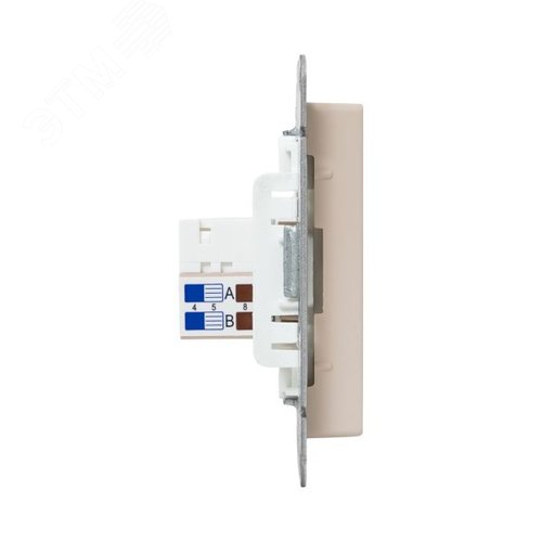 Механизм розетки RJ45 (cat5) кремовый Эпика EKF