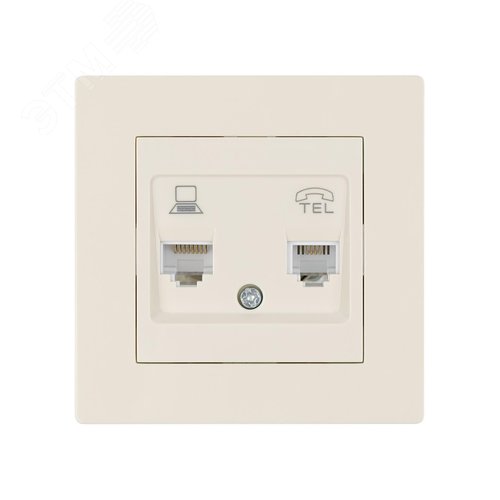 Розетка телефонная RJ11 + компьютерная RJ45 сл. кость Сенеж