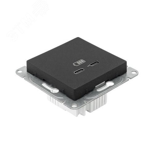 Эпика Механизм розетки USB-C - 2шт черный EKF